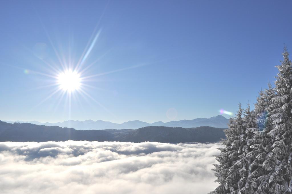Mathiasl Panorama Ferienwohnungen Боденсдорф Стая снимка
